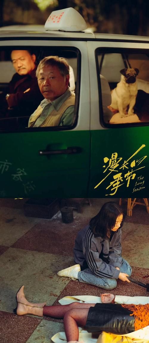 绝望游戏电视剧更新时间，追剧老铁们看过来！