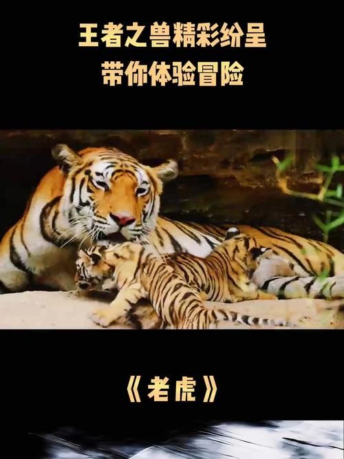 老虎吃小孩游戏类似推荐，这几款也很好玩！