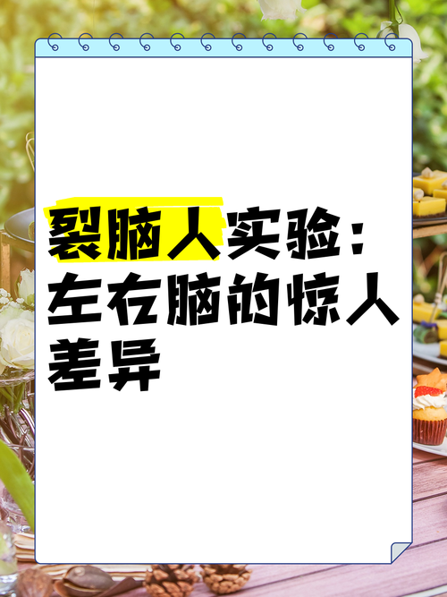 脑裂游戏对大脑好不好？这篇文章告诉你答案！