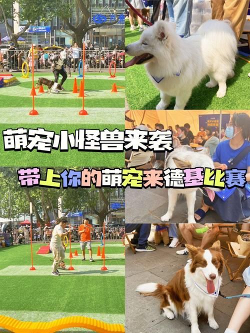 萌宠跳跳小游戏怎么玩？新手快速上手攻略看这里！