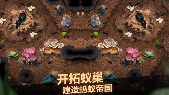 蚂蚁繁殖游戏好玩吗？玩家真实体验分享给你听！