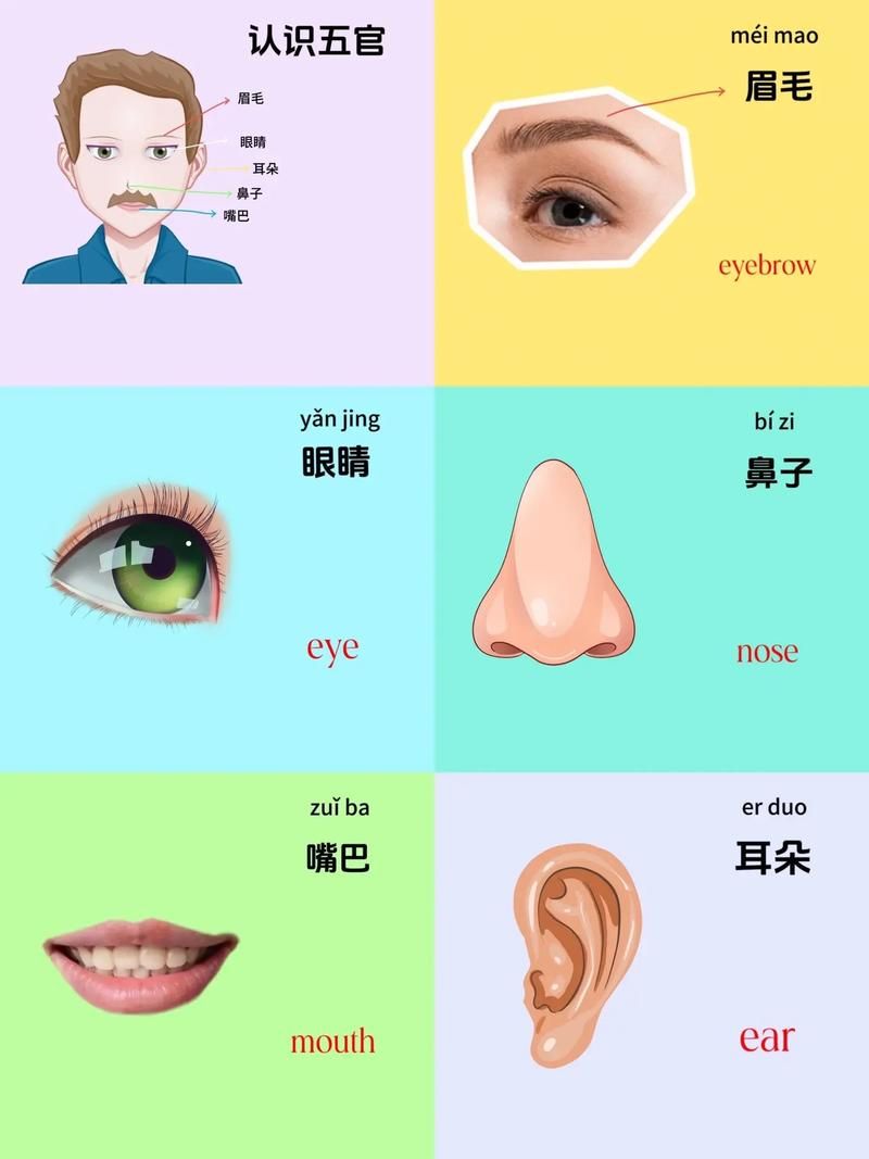 认识五官游戏有哪些？宝妈必备早教游戏分享！