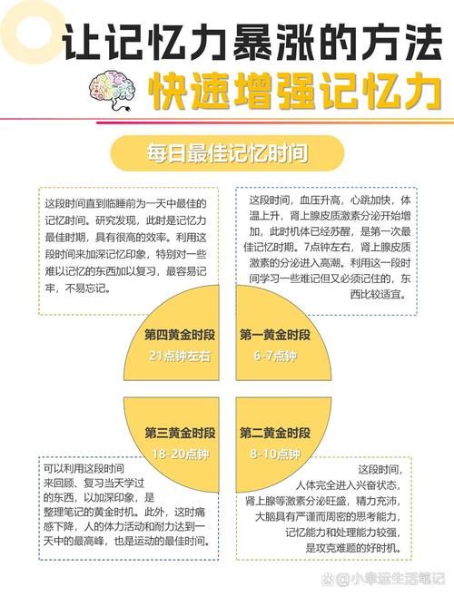 记忆力游戏教案如何实施？让孩子在玩乐中提升记忆！
