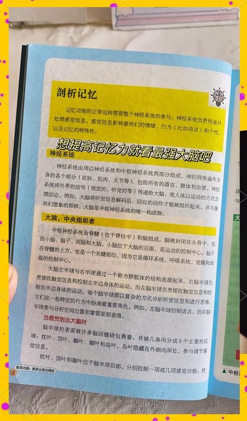记忆力游戏教案如何实施？让孩子在玩乐中提升记忆！