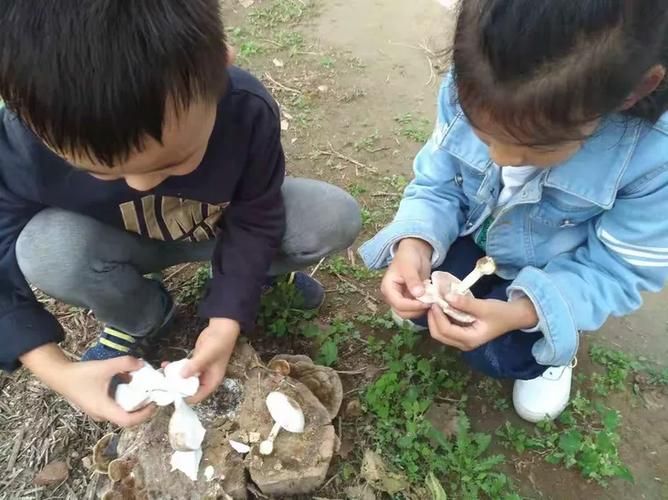 跳蘑菇游戏叫什么名字？小时候的回忆都在这了！