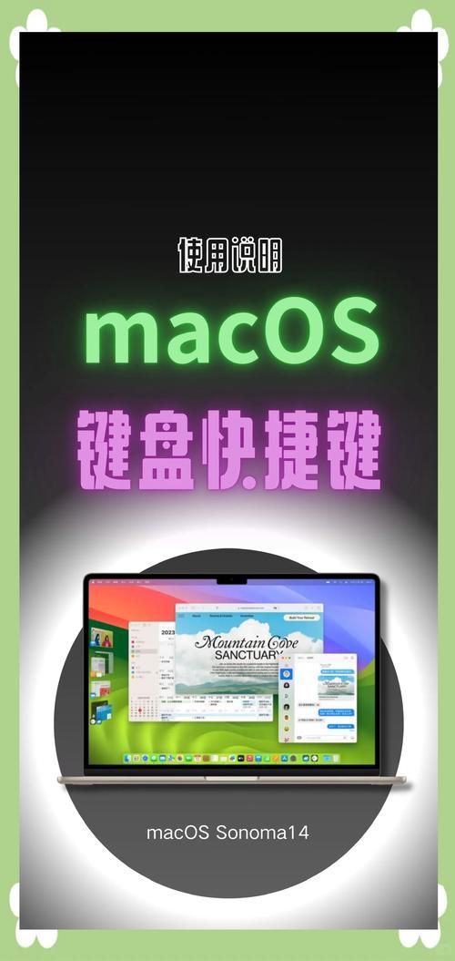键盘打字母游戏怎么玩？新手入门指南看这里！