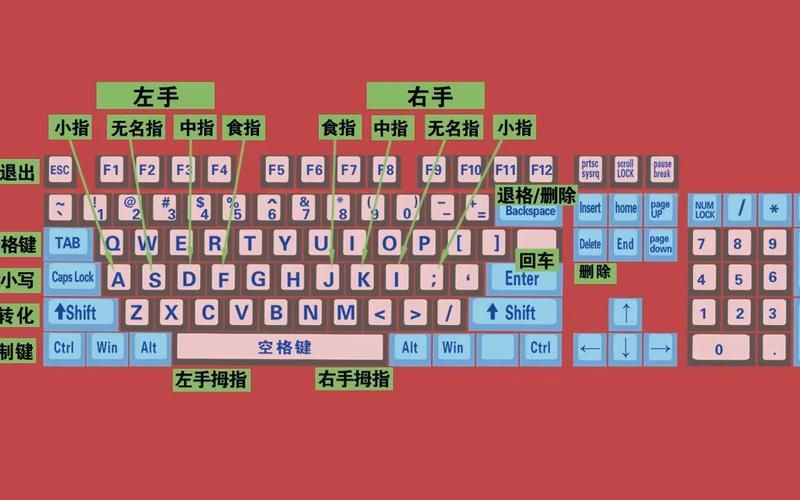 键盘练习指法游戏有哪些？这几款让你轻松上手！