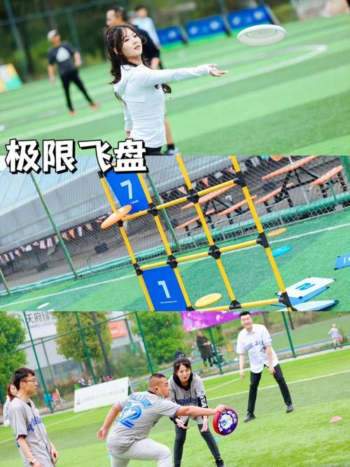 青草地上做什么游戏好玩？这几个游戏超有趣！
