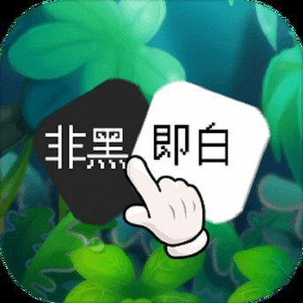 非黑即白是个啥游戏？这个游戏项目值得玩吗？