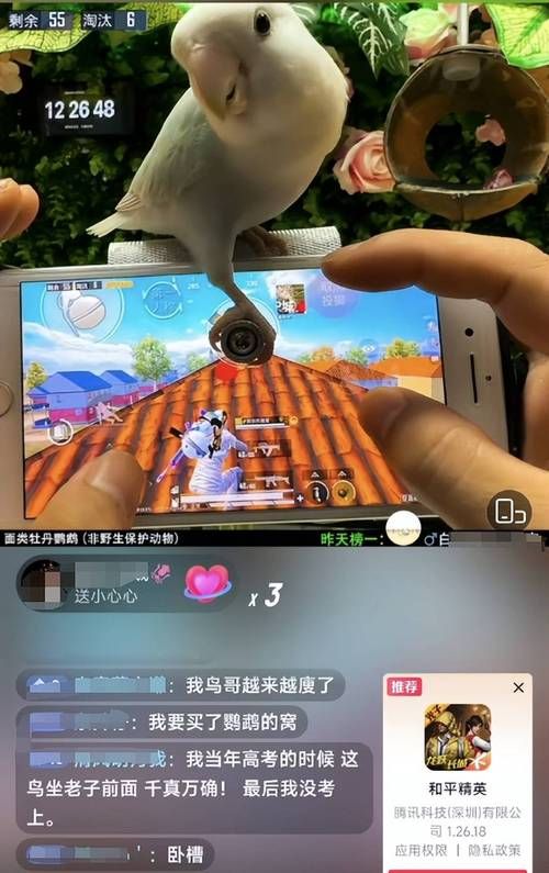 韩国游戏直播哪个好看？高玩大神精彩操作秀！