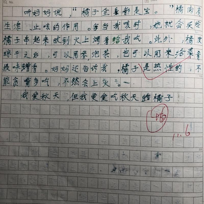 顶桔子游戏后的感悟，高分作文原来是这么来的！