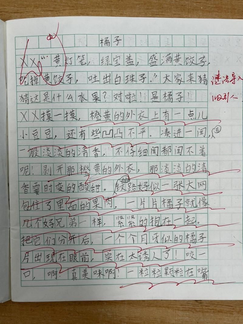 顶橘子游戏作文范文分享，多篇优秀作文教你拿高分！