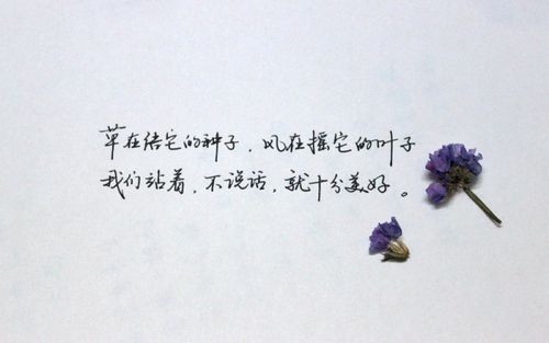 风中静草游戏的意义是什么？看完这篇你就懂了！