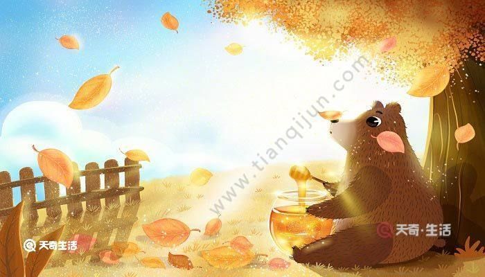 风中静草游戏的意义是什么？看完这篇你就懂了！