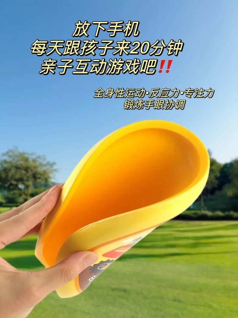飞盘游戏规则很简单，新手老手都能快速上手！