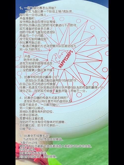 飞盘游戏规则很简单，新手老手都能快速上手！