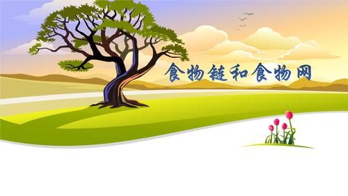 食物链游戏怎么下载？官方渠道安全又放心！