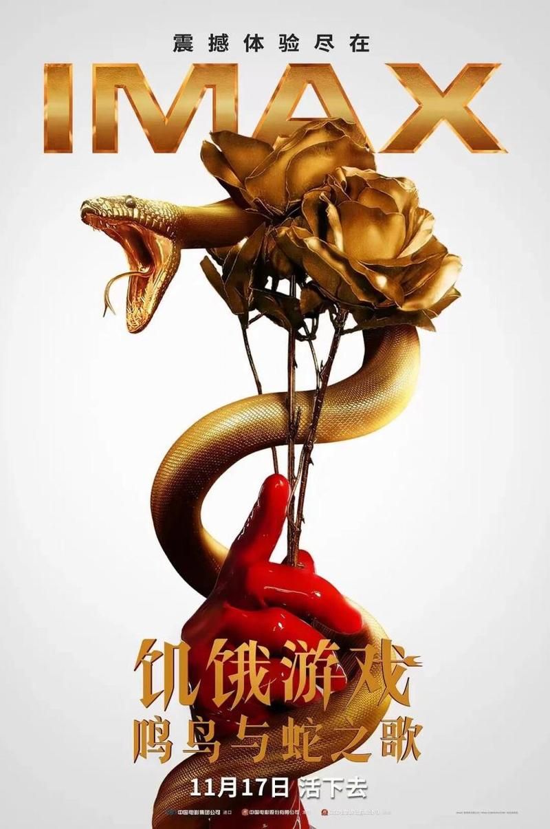 饥饿游戏字幕看不懂？多半是翻译出了问题！
