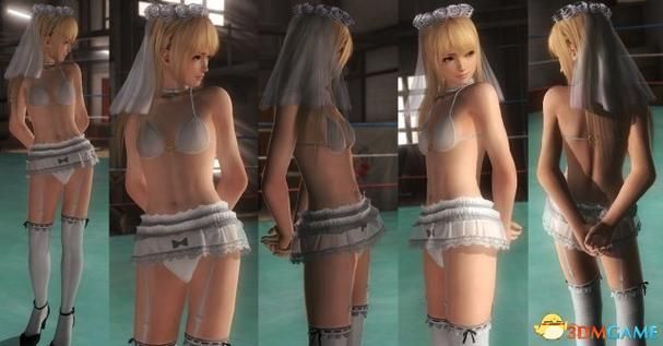 死或生5最后一战果体MOD安装教程：新手也能轻松上手