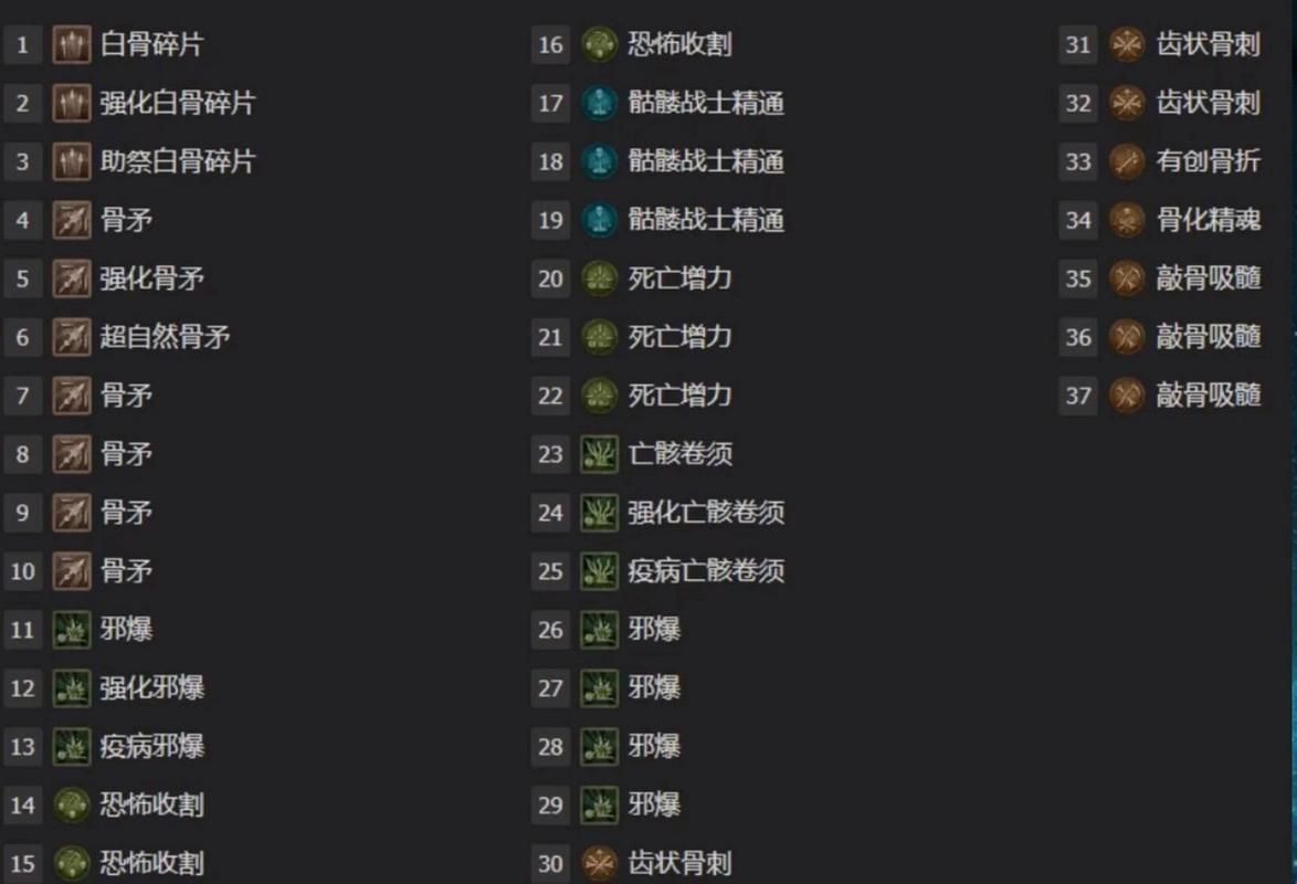 死灵法师最强加点方案：暗黑2属性提升技巧分享