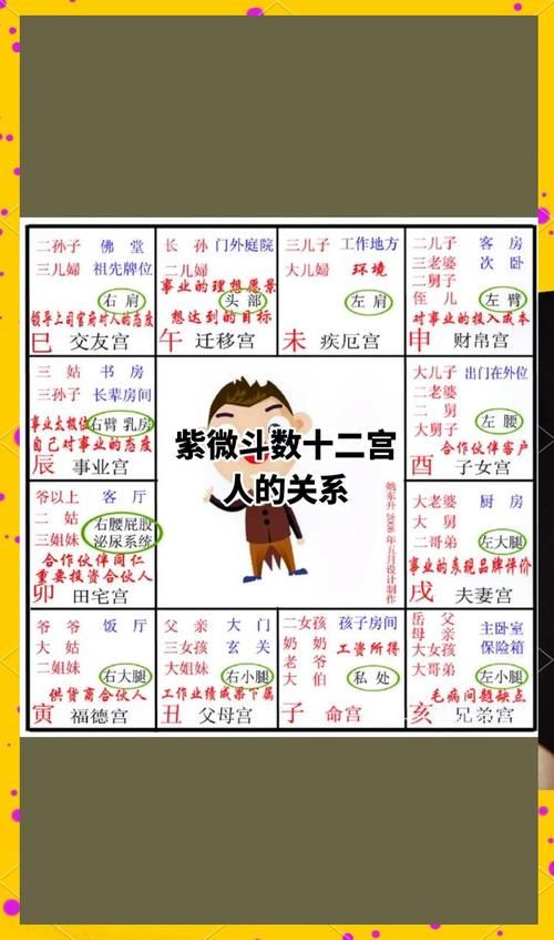 1王9帅12宫4解析 这些数字究竟代表什么