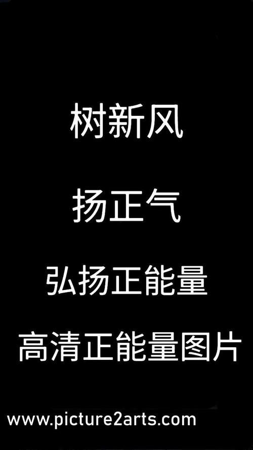 1王9帅12宫4解析 这些数字究竟代表什么