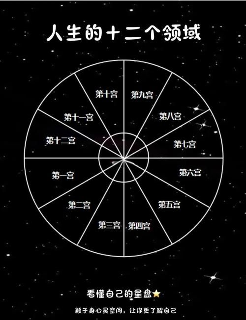 1王9帅12宫4解析 这些数字究竟代表什么