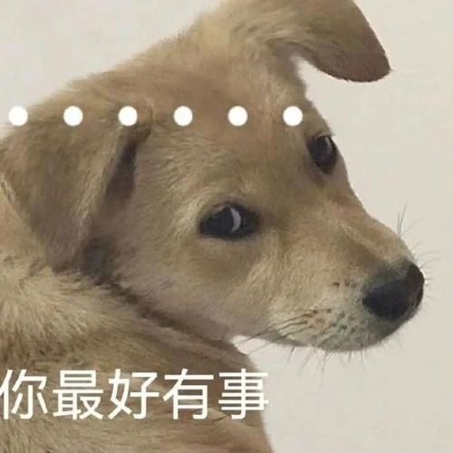 2023最新搞笑qq表情包 斗图必备神器