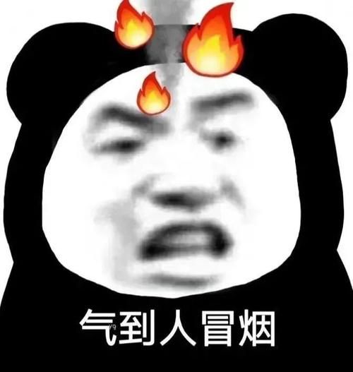 2023最新搞笑qq表情包 斗图必备神器