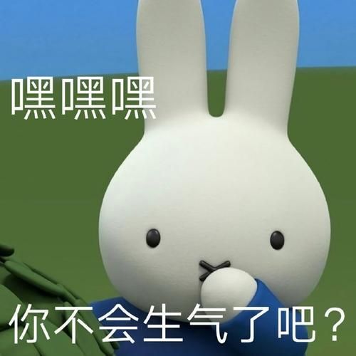 2023最新搞笑qq表情包 斗图必备神器