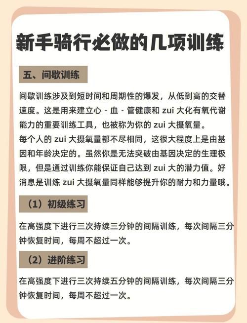 310骑术在哪学 专业骑术学校与课程指南