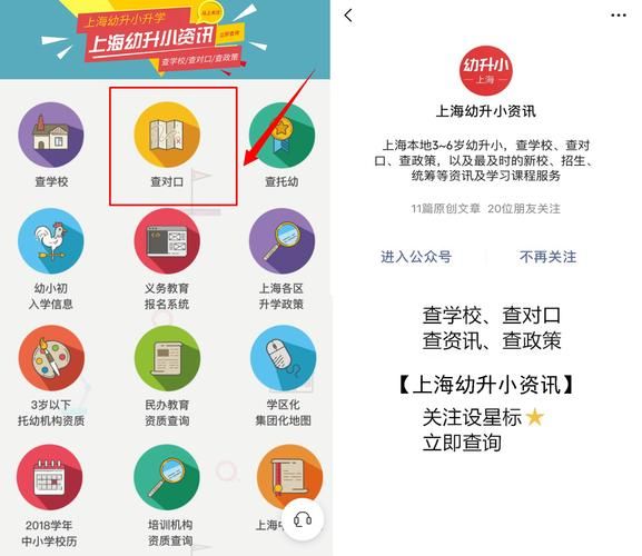 310骑术在哪学 专业骑术学校与课程指南