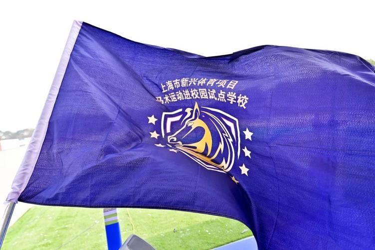 310骑术在哪学 专业骑术学校与课程指南