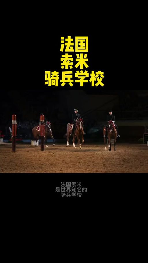 310骑术在哪学 专业骑术学校与课程指南