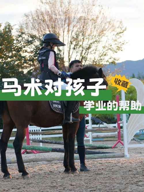 310骑术在哪学 专业骑术学校与课程指南