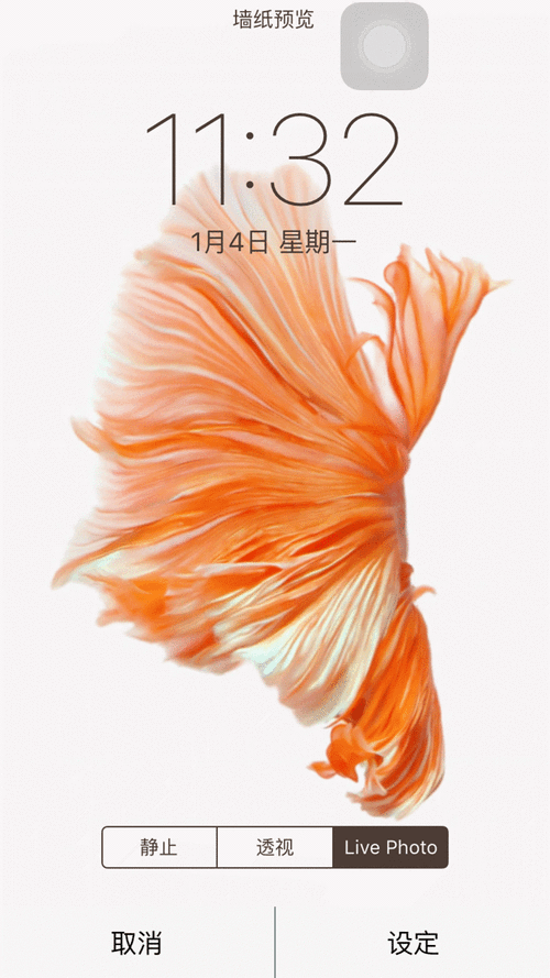 3d动态桌面壁纸怎么设置 简单教程一看就会