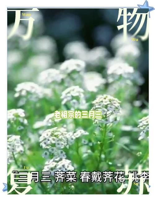 517是什么日子 揭秘这个特殊日子的由来和意义