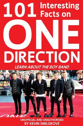 boy band成员都是怎么选出来的 boy band选拔过程揭秘