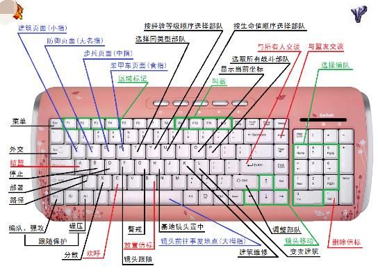 re管理器是什么 新手必看的功能介绍与操作教程