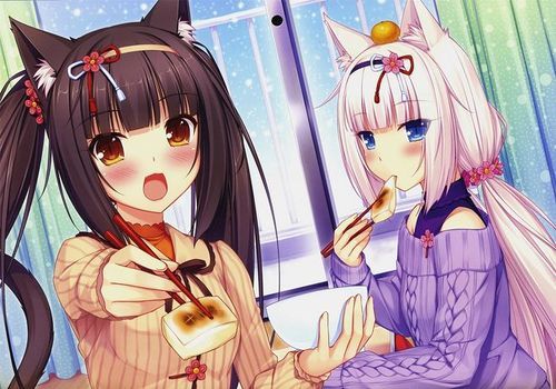 sayori漫画哪里能看 最新sayori作品在线阅读地址