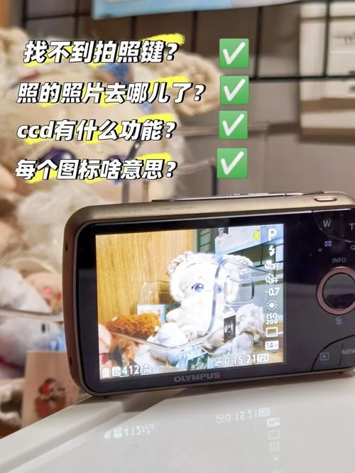 www.d.cn使用教程 新手快速入门指南