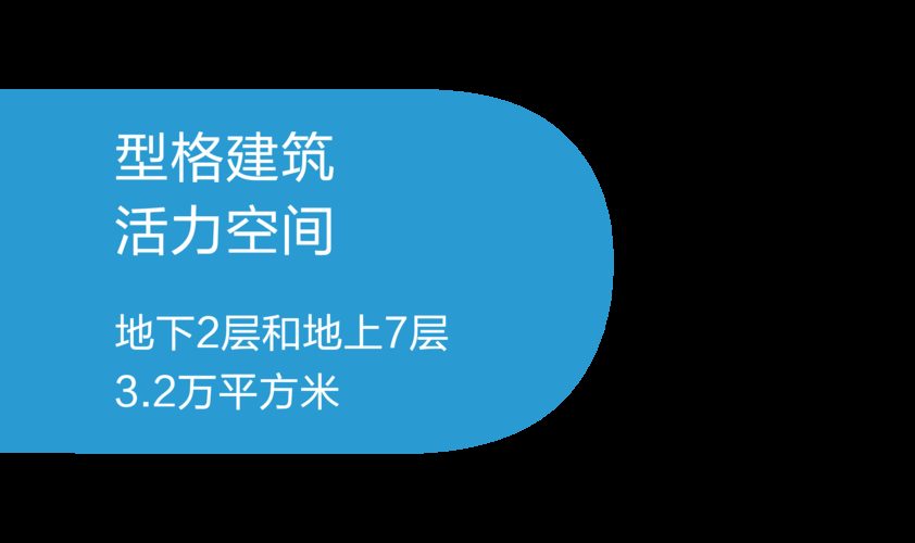 www.d.cn使用教程 新手快速入门指南