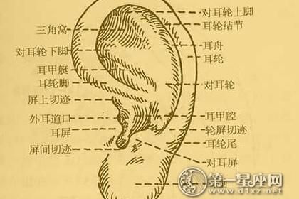 一掌风月宝鉴大全揭秘古代神秘相术的真相