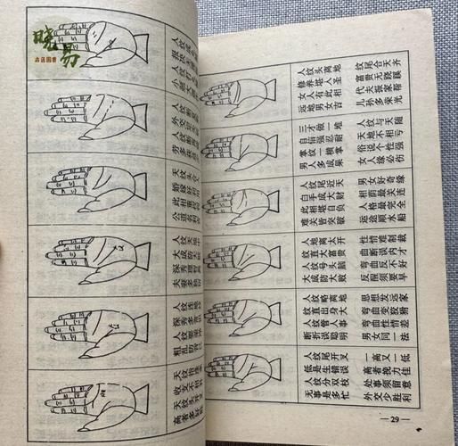 一掌风月宝鉴大全揭秘古代神秘相术的真相