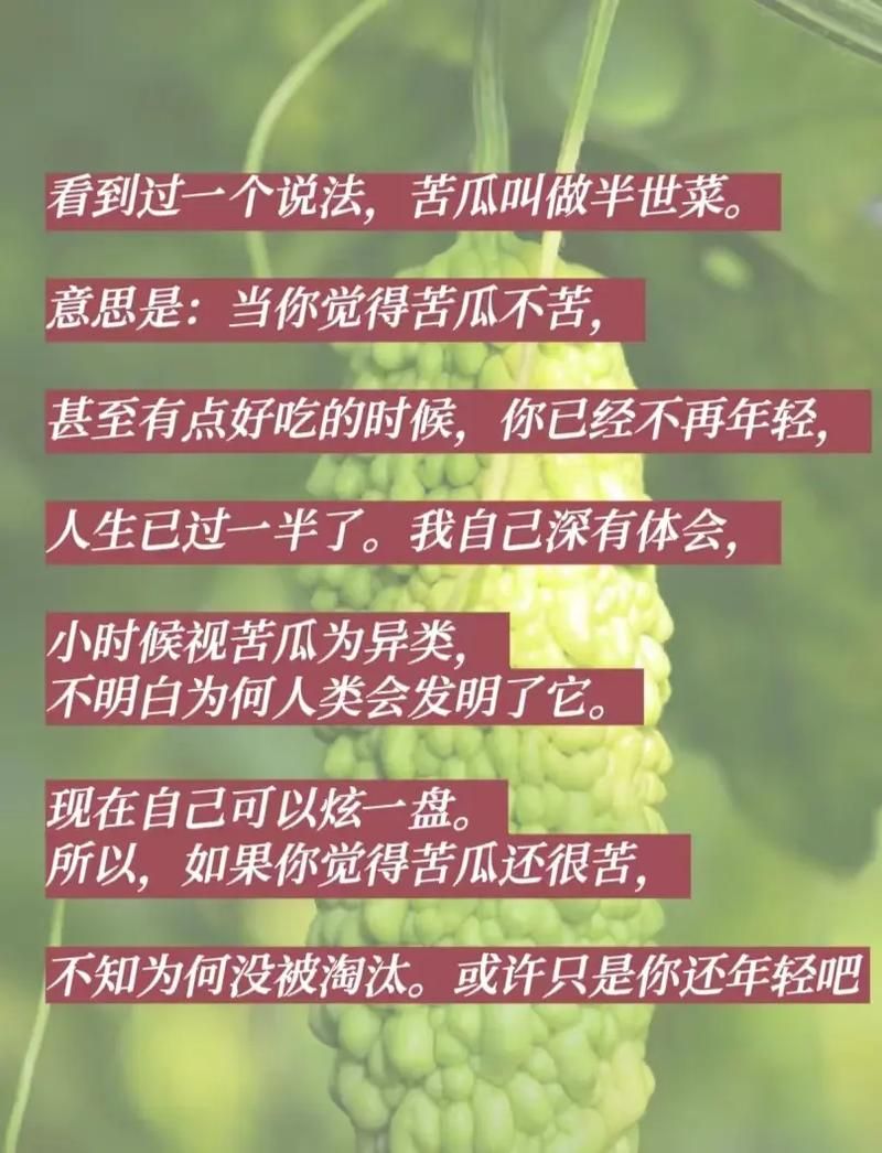 一瓜未平一瓜又起 最近的网络热点你追上了吗