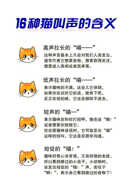 一直就在你的耳边 这些声音背后的秘密