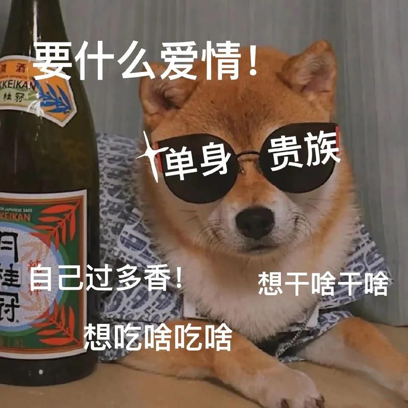 七夕出租自己搞笑图片分享 单身人士的快乐源泉在这里