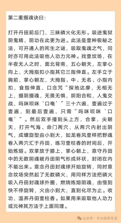 丐帮经脉修炼指南 九阴真经经脉系统详解