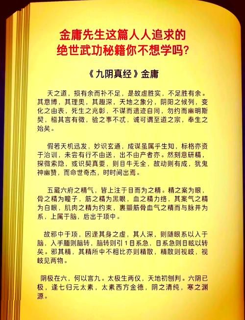丐帮经脉修炼指南 九阴真经经脉系统详解