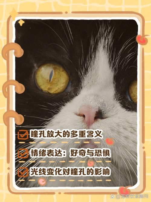 为什么有些动物是长方形瞳孔 这种瞳孔对它们有什么好处